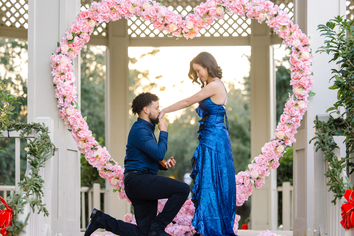 evening proposal at hampton park