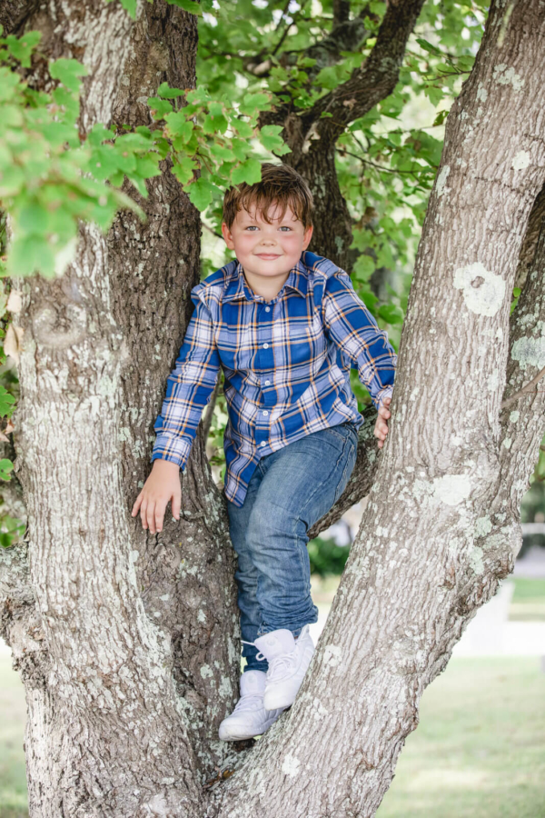 family photo charleston child is on the tree