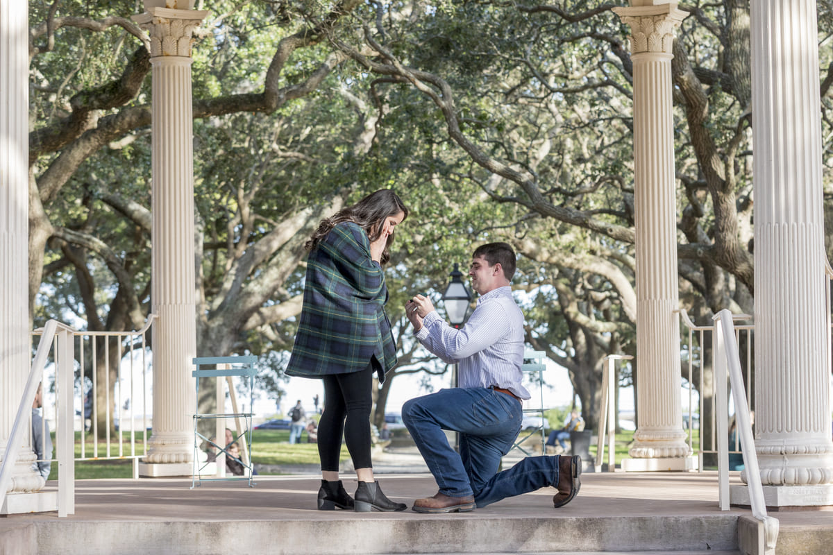 white point garden winter proposal