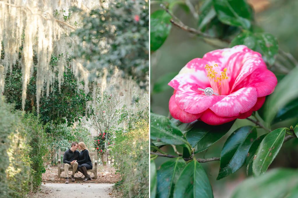 charleston engagement photographers at middleton place