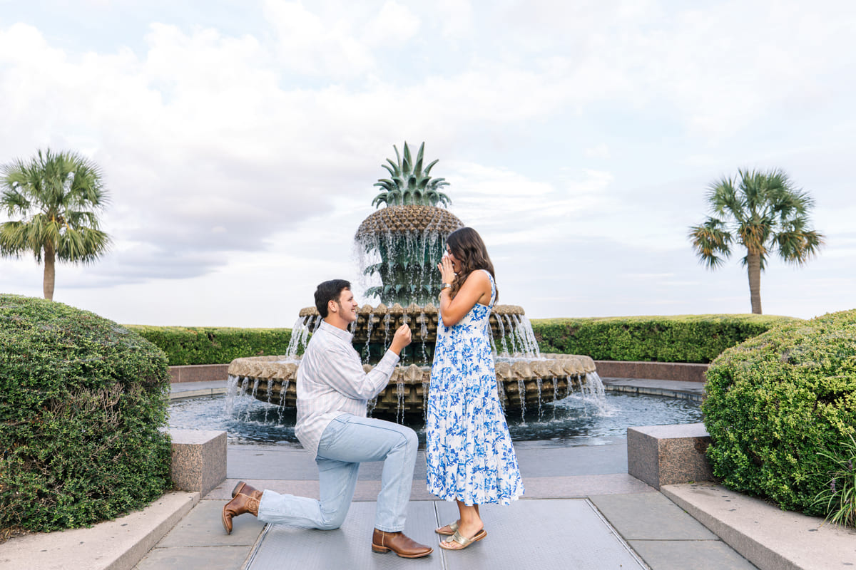 pineapple fountain proposal moment