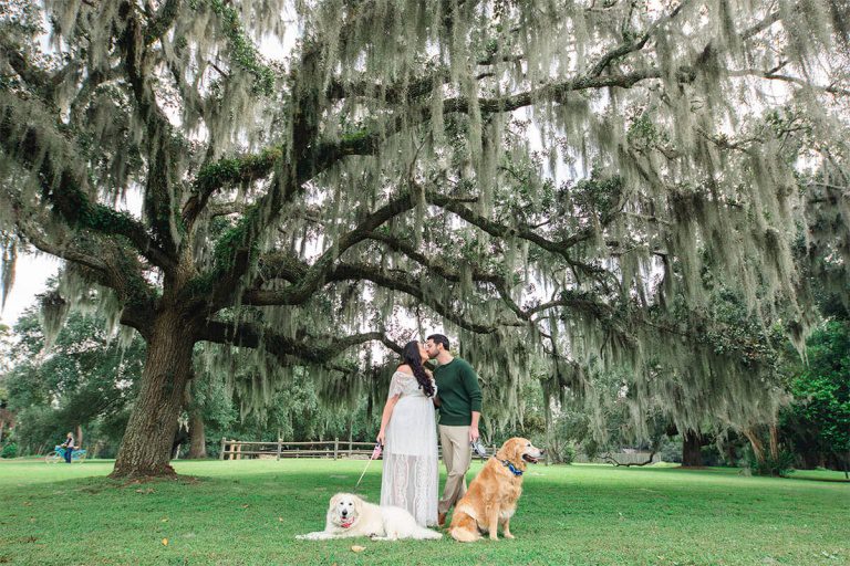 photo shoot of a kissing couple and their dogs
