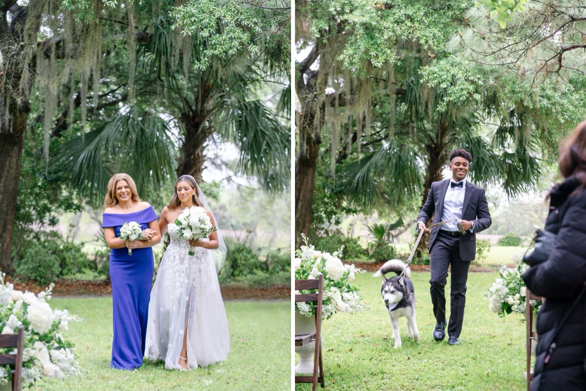 bride walking down aisle oak tree