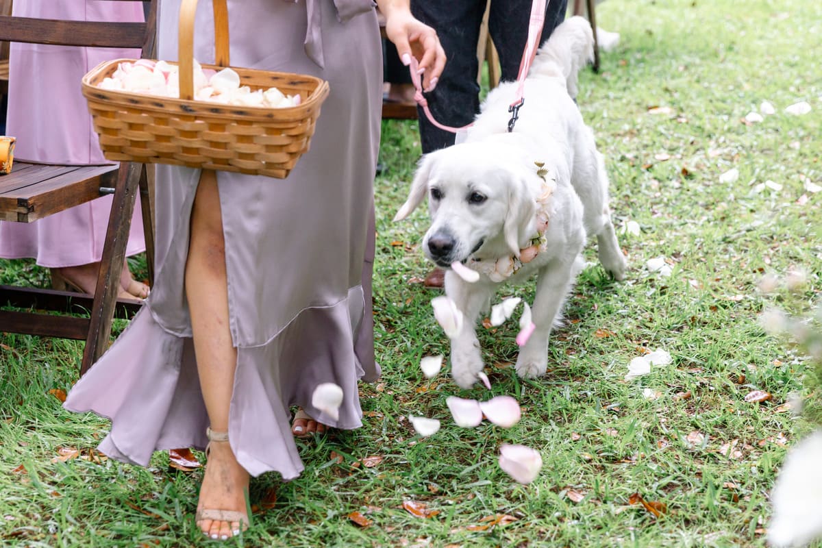 magnolia plantation ceremony details