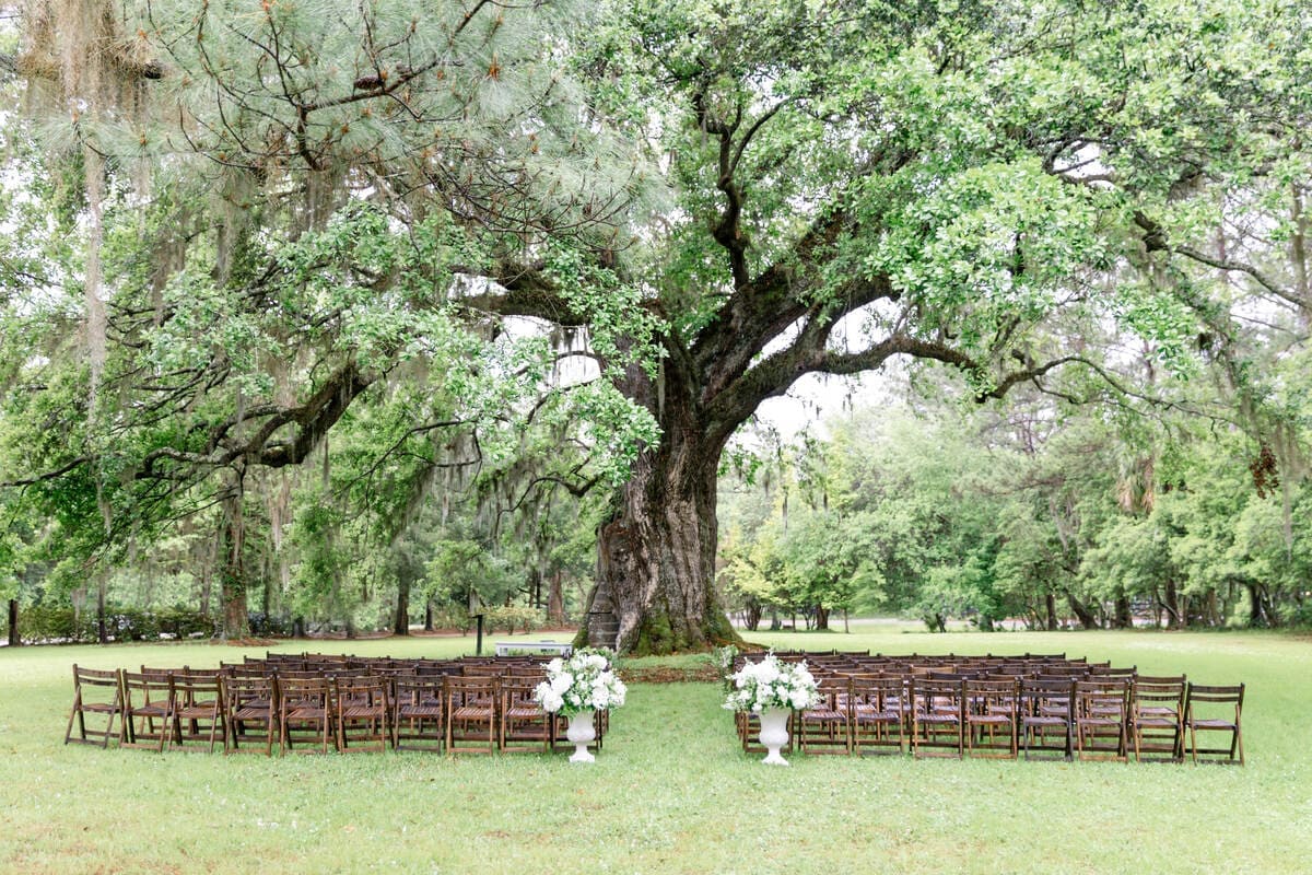 magnolia plantation outdoor ceremony