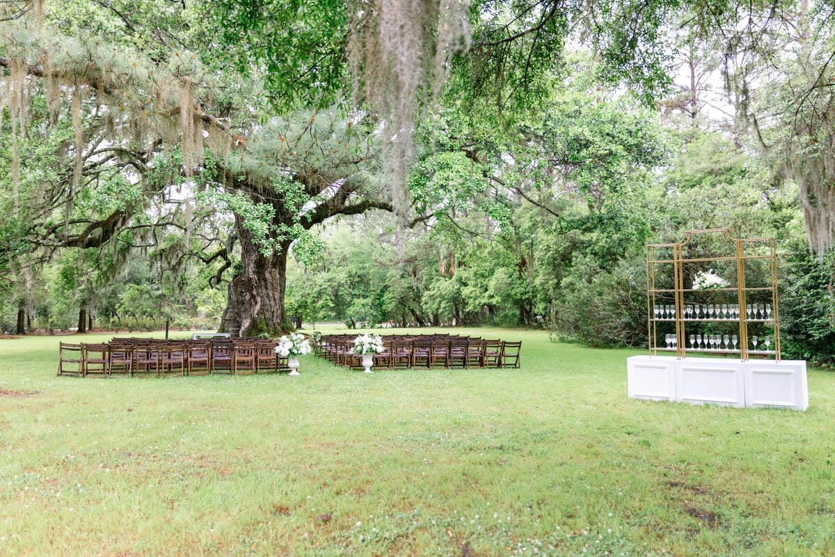 oak tree wedding chairs decor