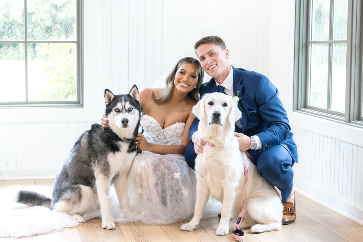 wedding couple with dogs charleston