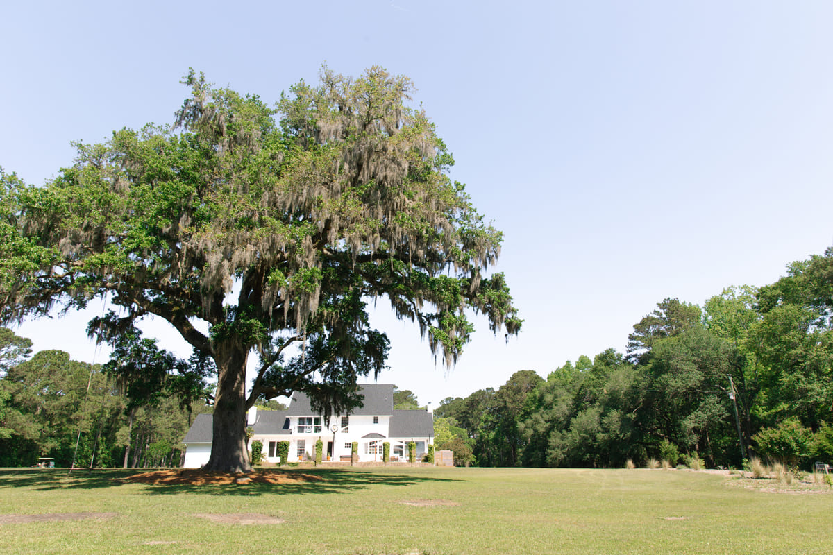 Pine creek wedding venue house behind the tree