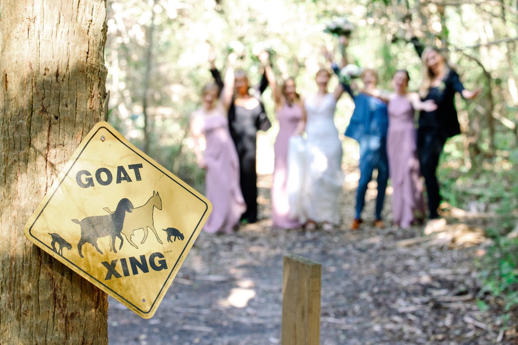 Goat Island Gatherings wedding photography