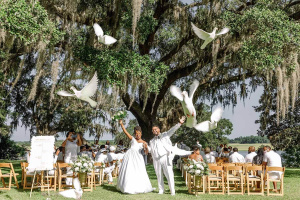 Pigeons wedding photography at Old Wide Awake Park