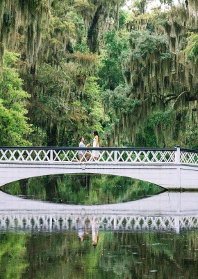 magnolia plantation and gardens top locations for proposal