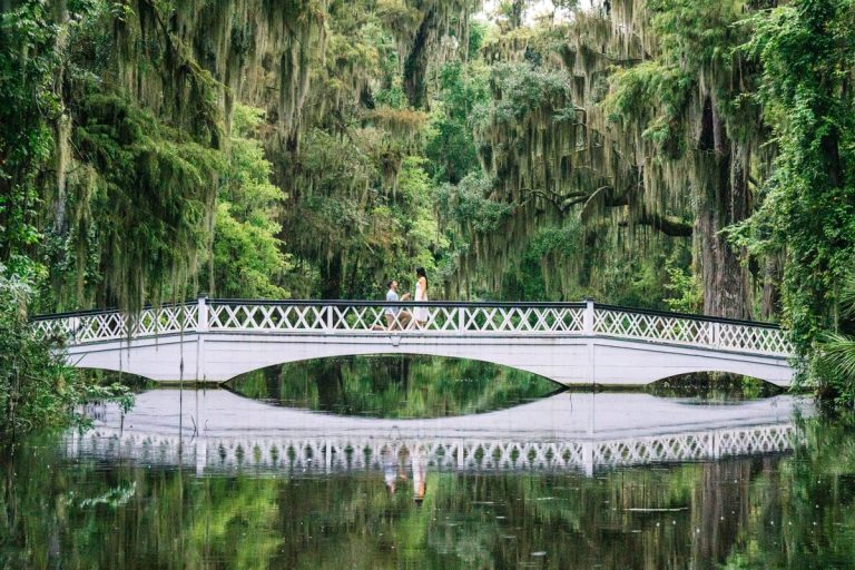 Magnolia Plantation Proposal Guide: Best Romantic Locations & Tips