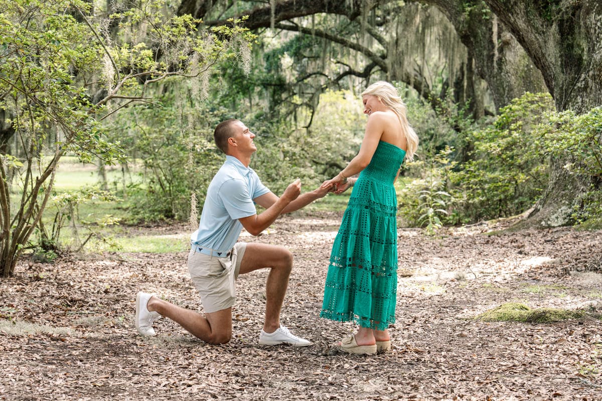 beautiful scenery proposal magnolia