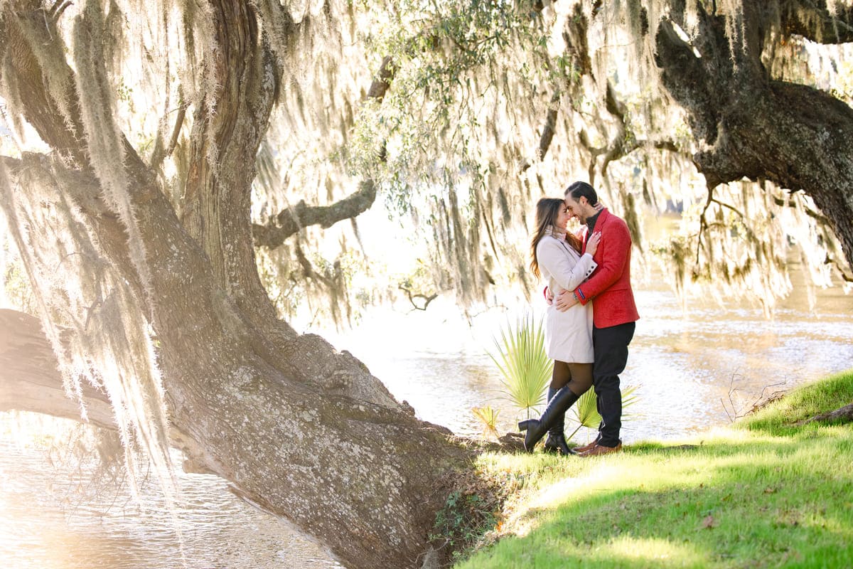 golden lighting charleston proposal