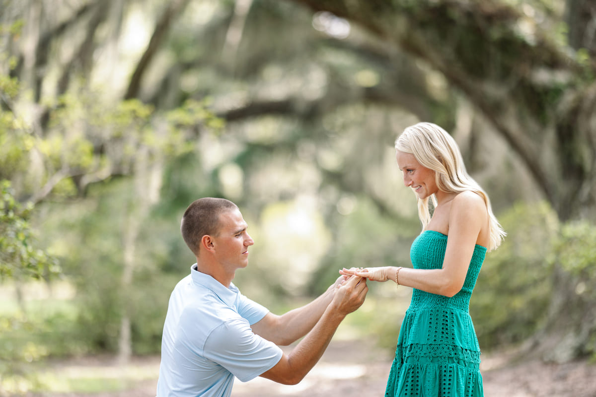 intimate proposal avenue of oaks