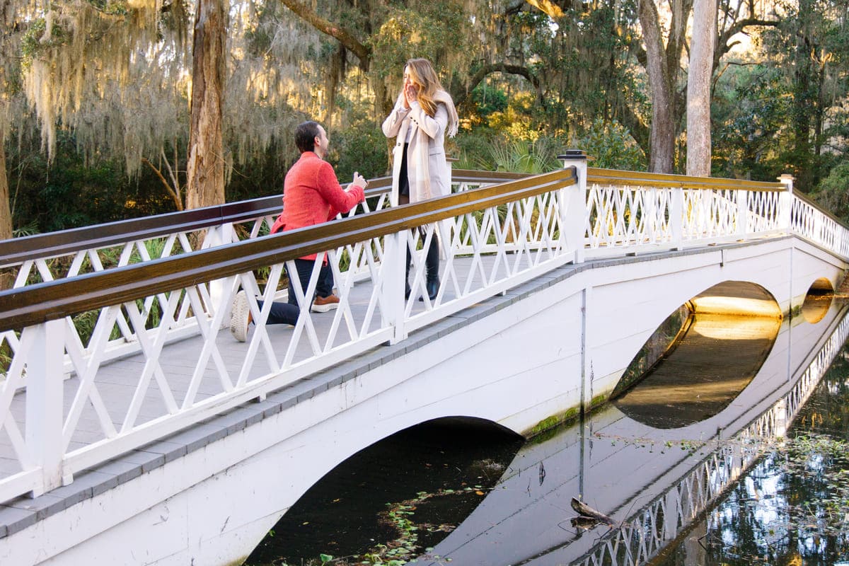 long white bridge winter proposal