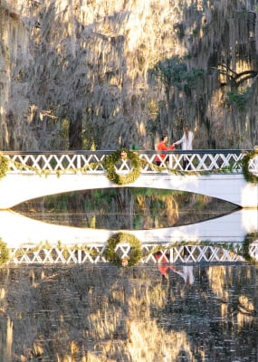 magnolia gardens christmas decorations proposal