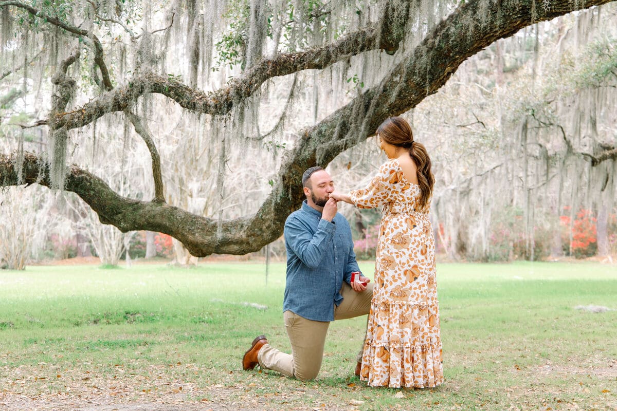 magnolia plantation proposal celebration