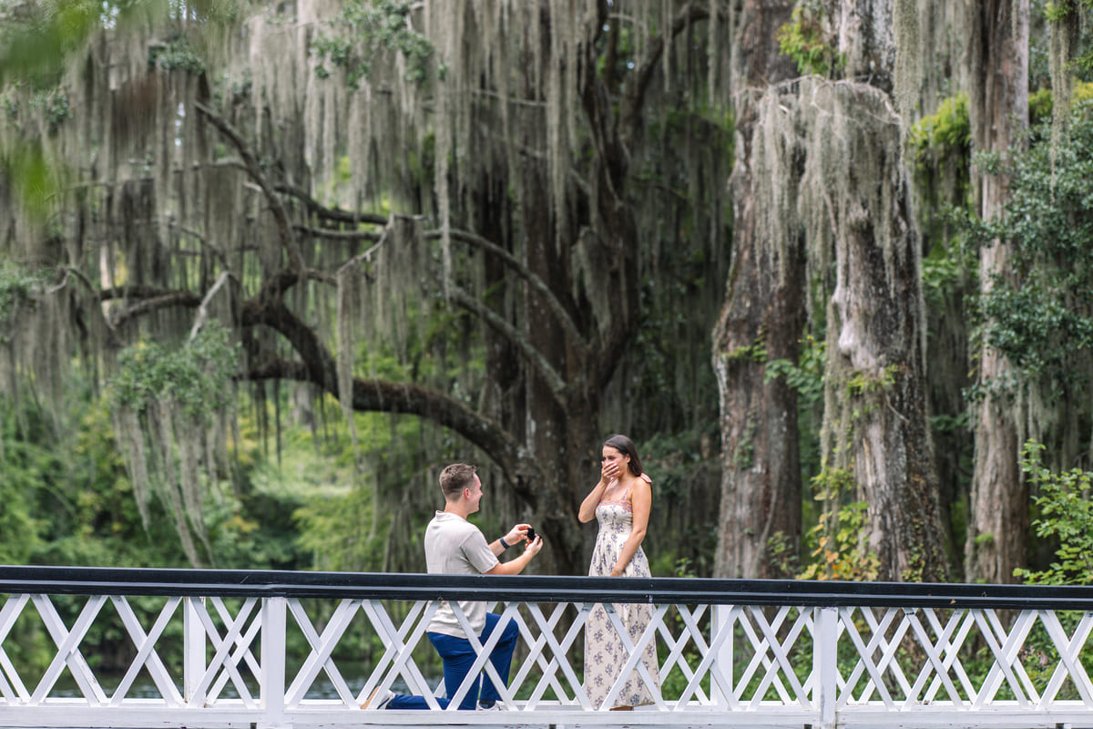 magnolia gardens long white bridge proposal moment