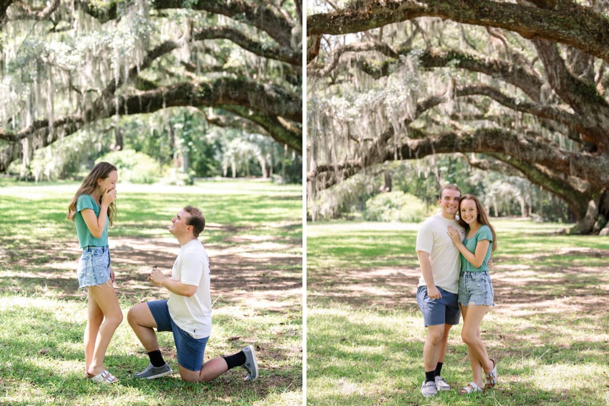 proposal under ancient oaks magnolia plantation