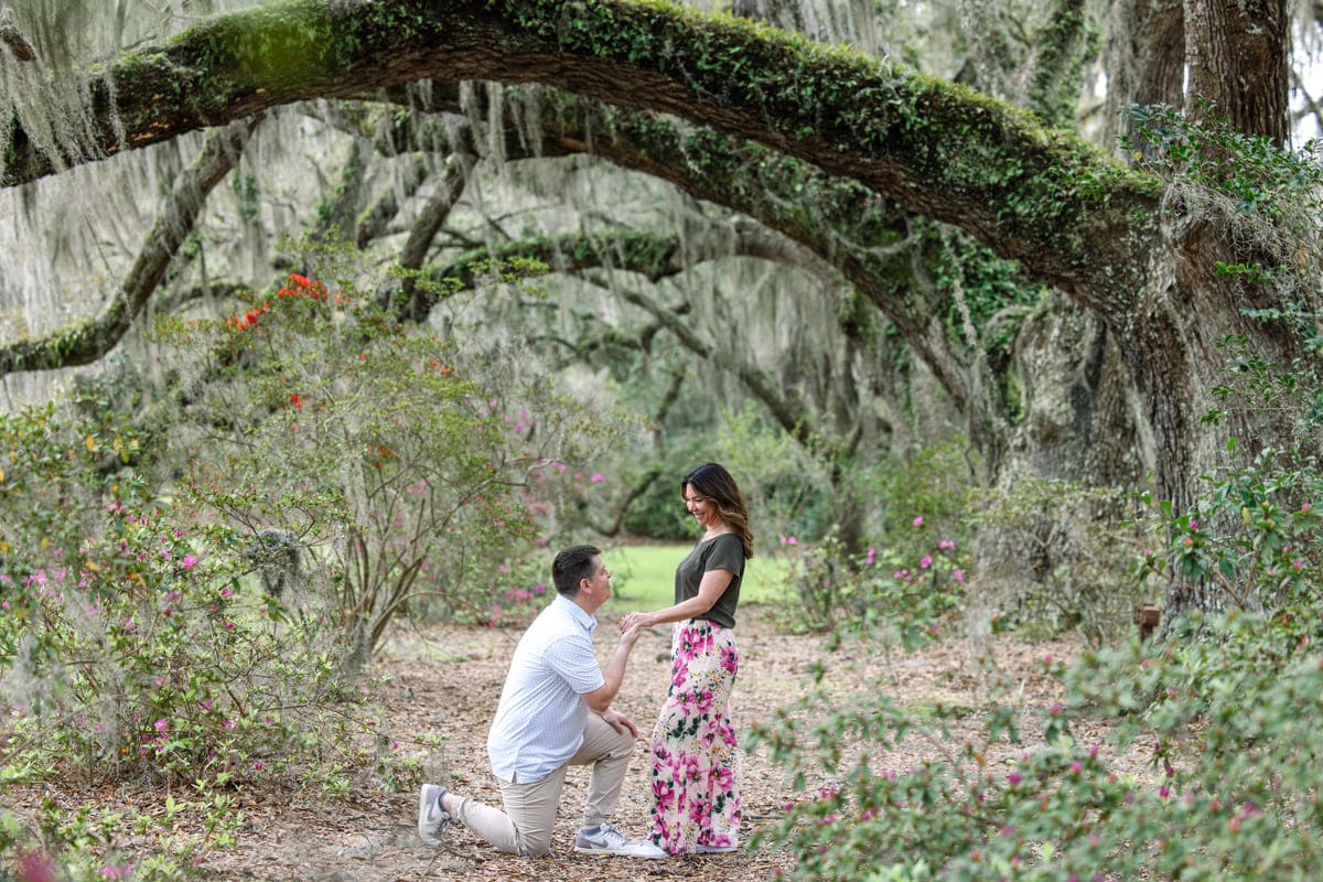 proposal under oak near the main road