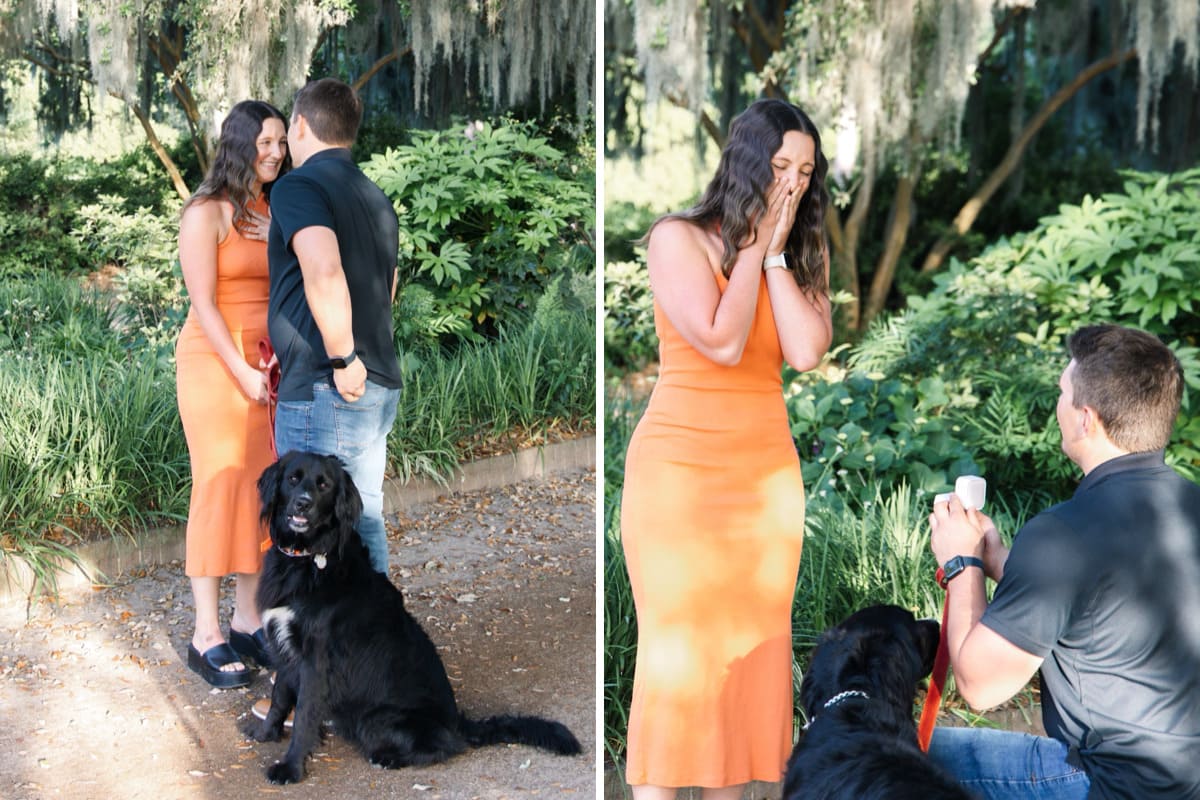 spanish moss live oaks proposal