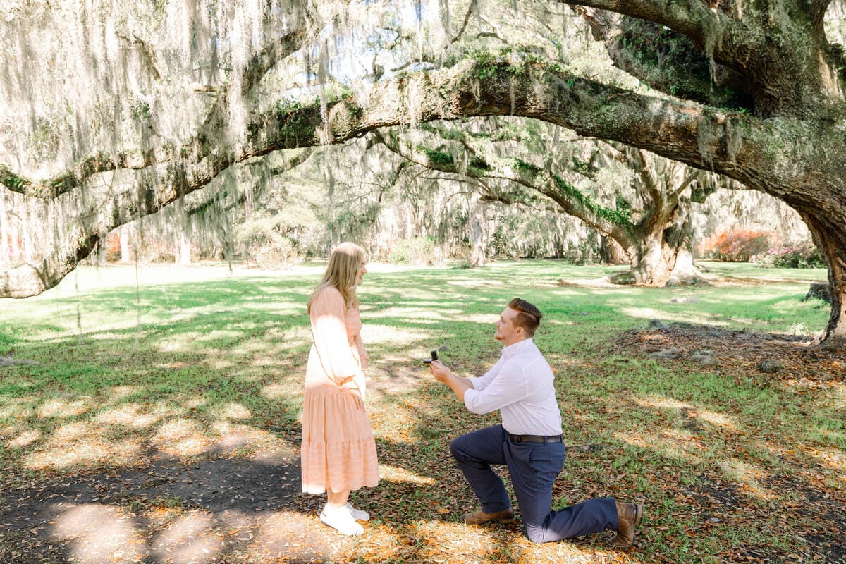 sunny proposal under magnolia gardens oak