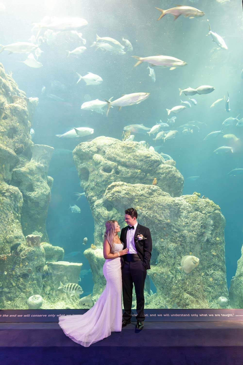 charleston wedding photographers South Carolina Aquarium