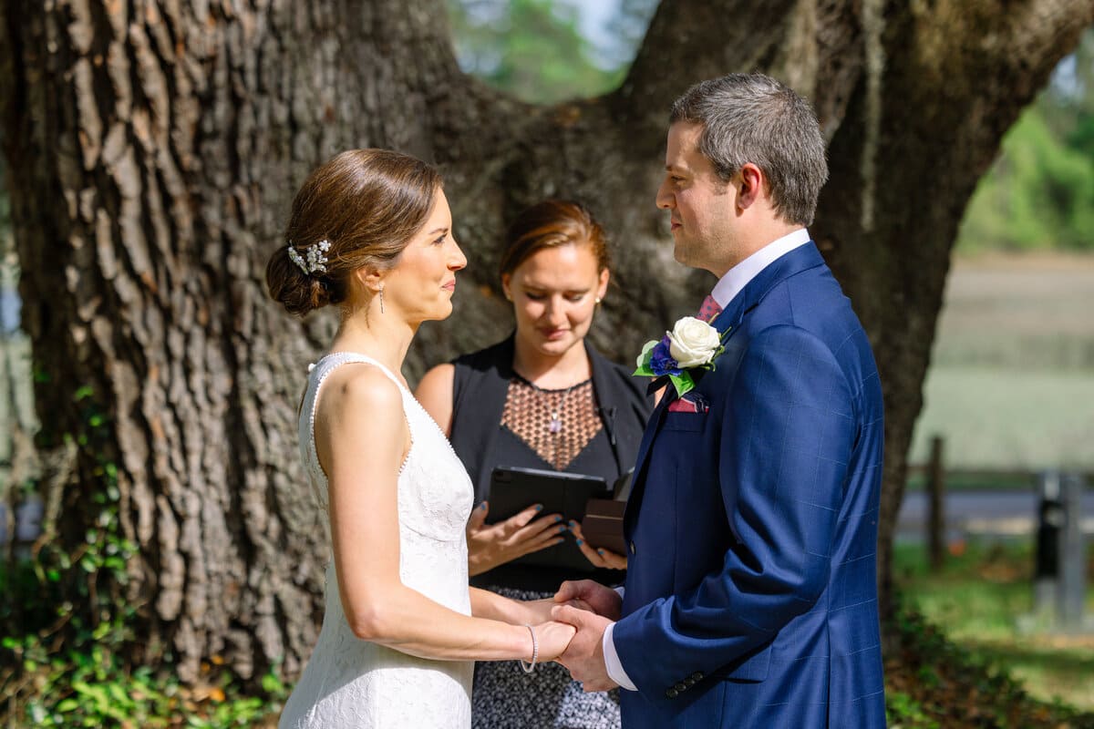 lowcountry elopement old oak tree