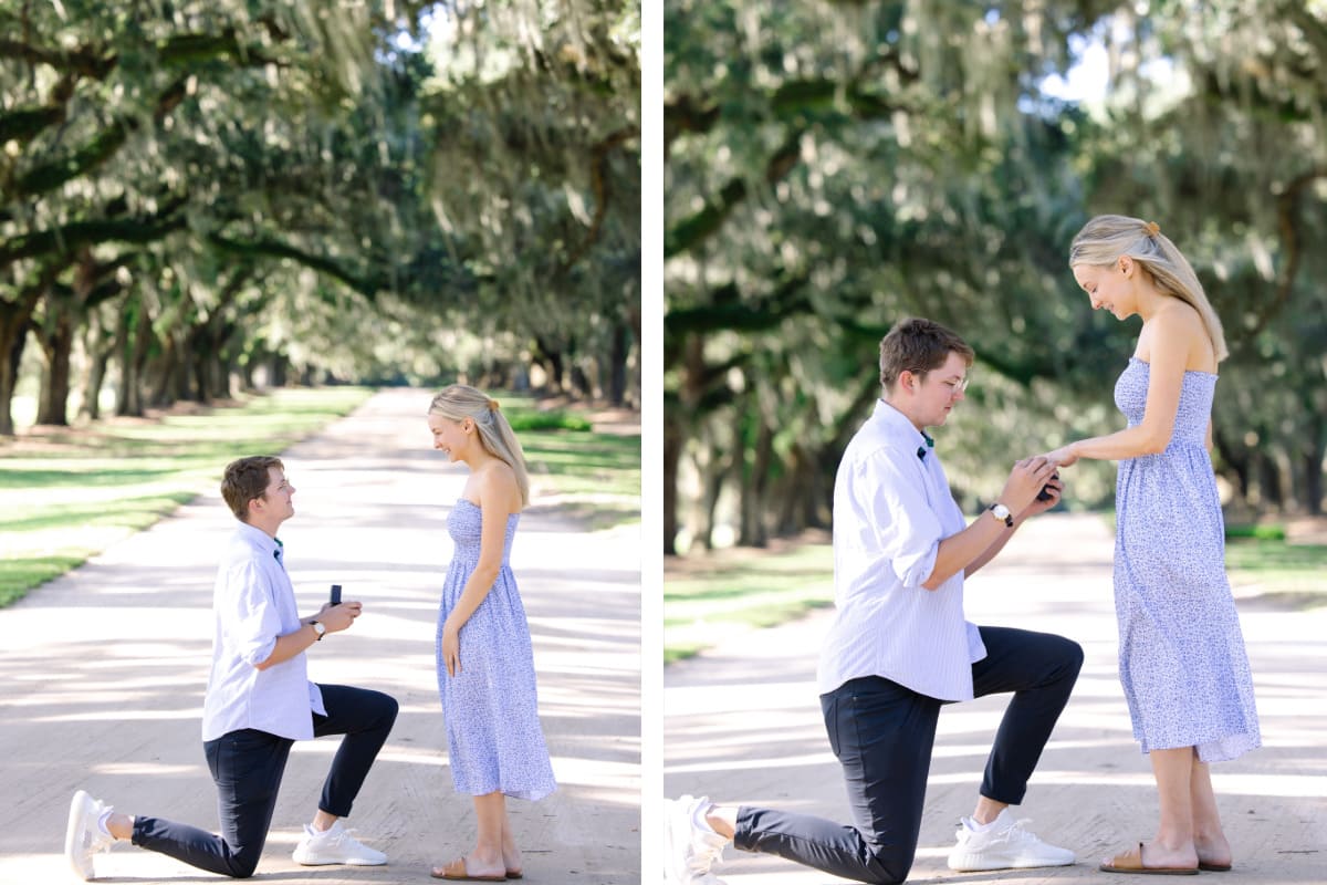 boone hall plantation and gardens proposal avenue of oaks