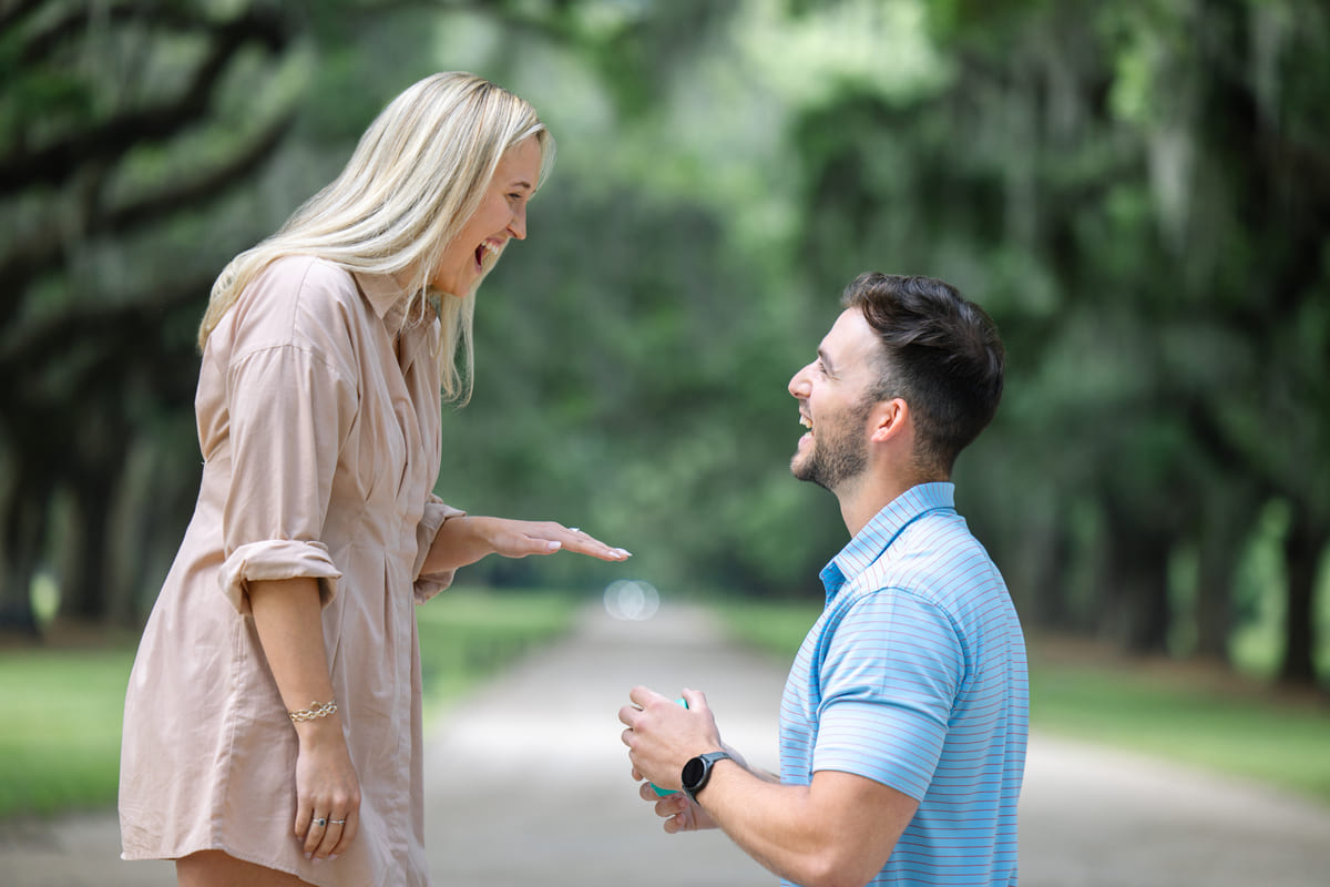 boone hall plantation and gardens proposal avenue of oaks