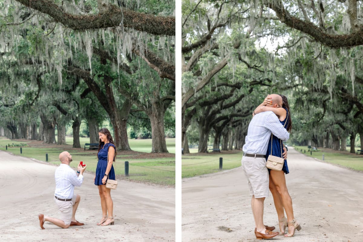 boone hall plantation and gardens proposal avenue of oaks