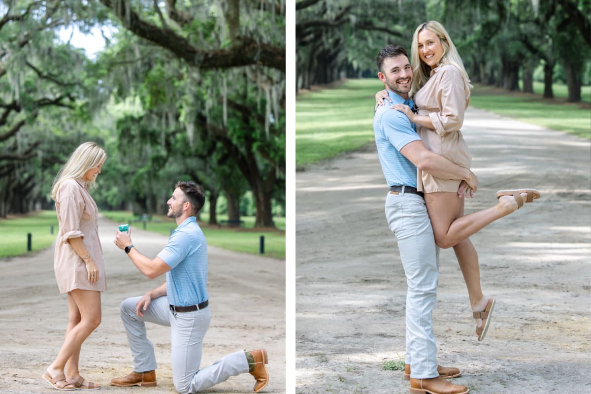 boone hall plantation and gardens proposal avenue of oaks