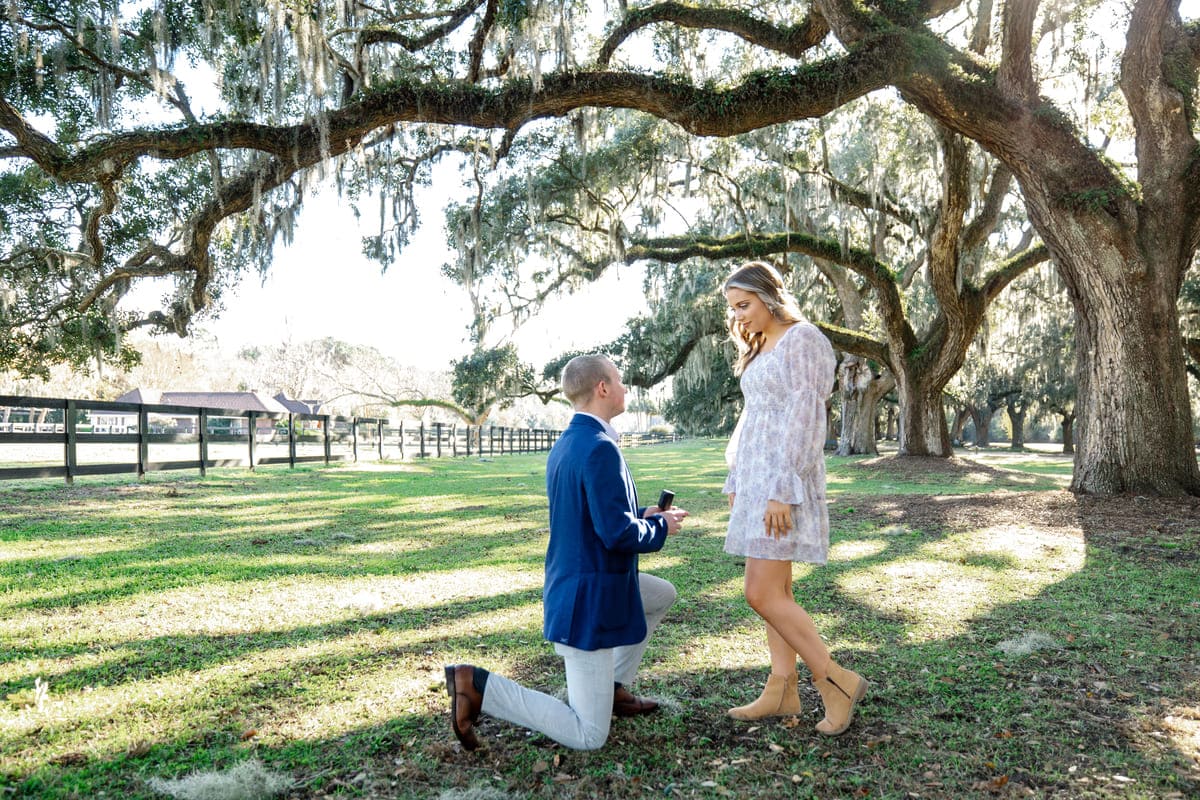 boone hall plantation and gardens proposal near the barn