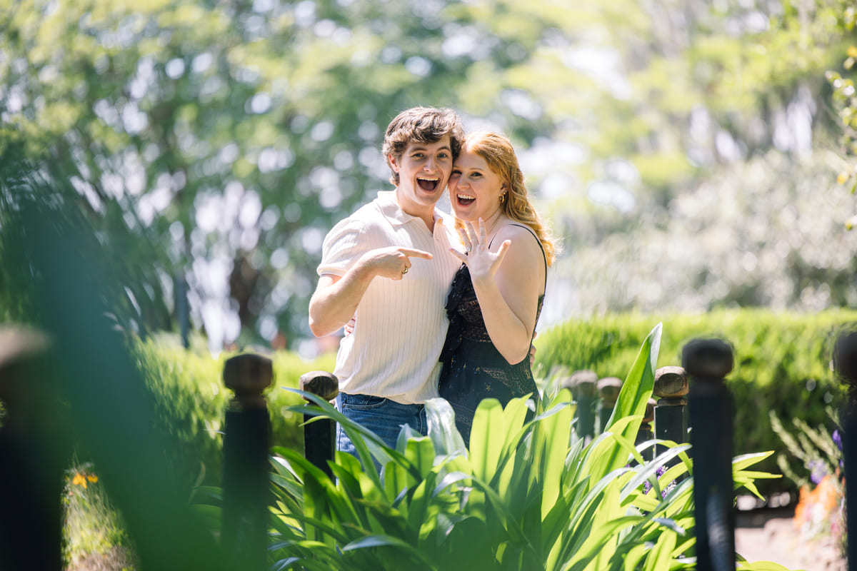 boone hall plantation and gardens proposal sunny day