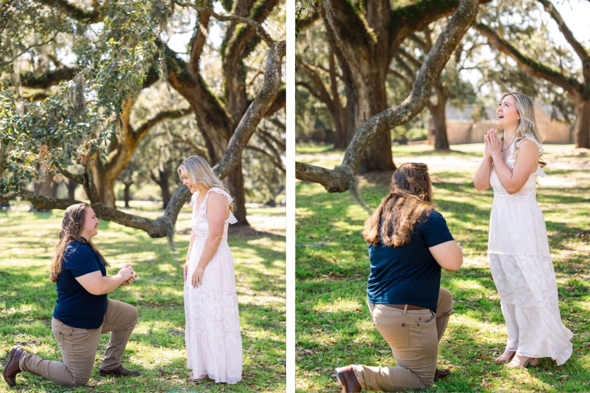boone hall plantation and gardens proposal under the oaks by the barn