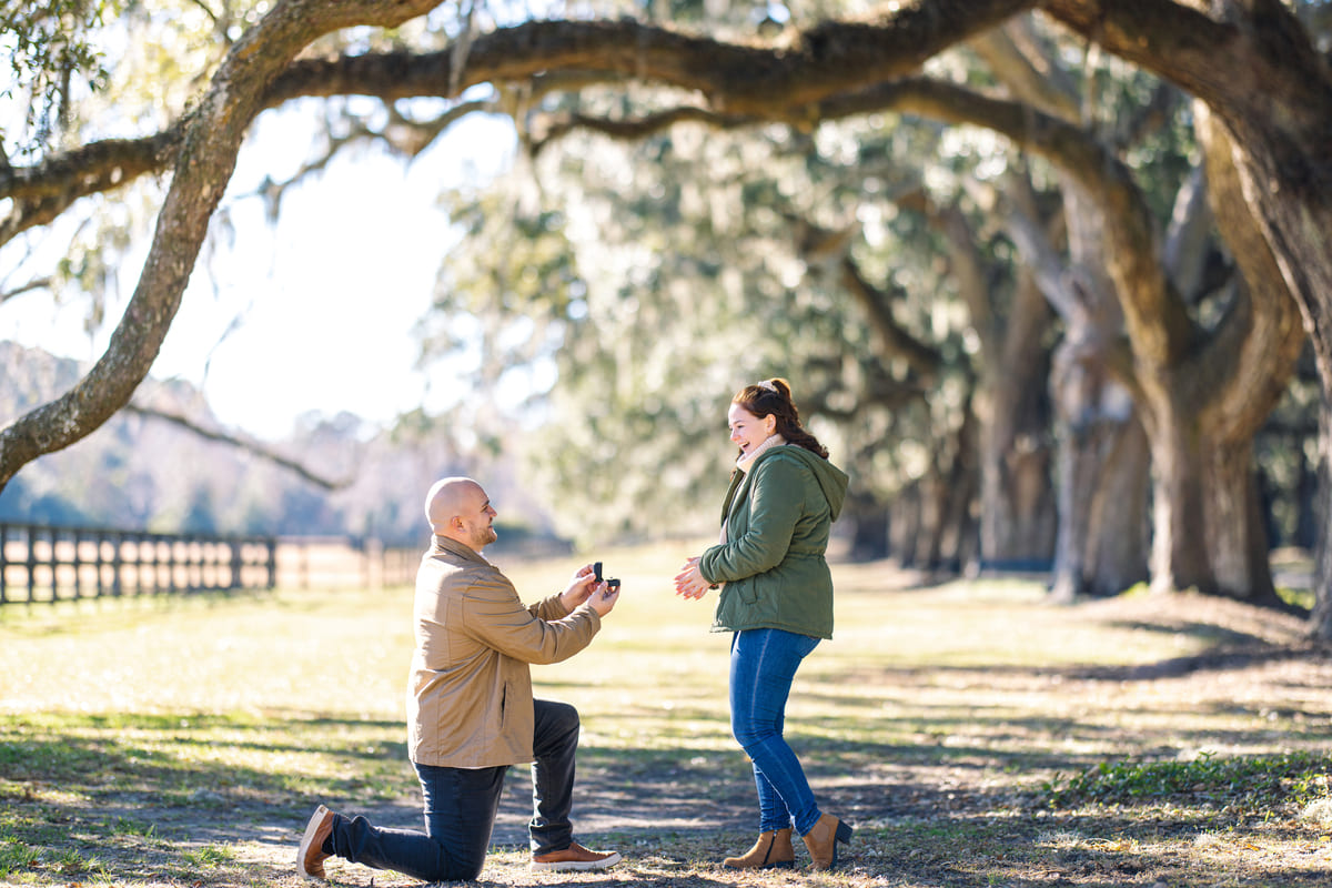 boone hall plantation and gardens proposal under the oaks by the barn