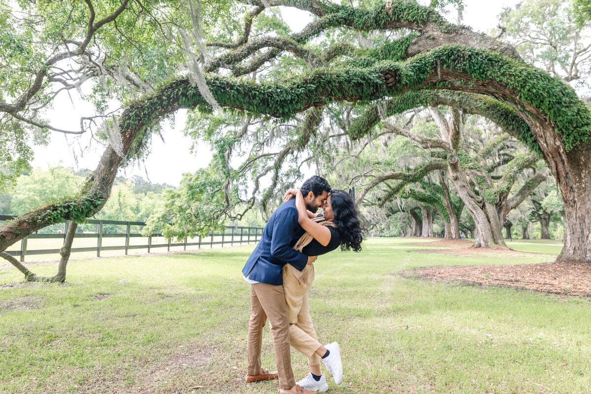 boone hall plantation proposal towering oaks