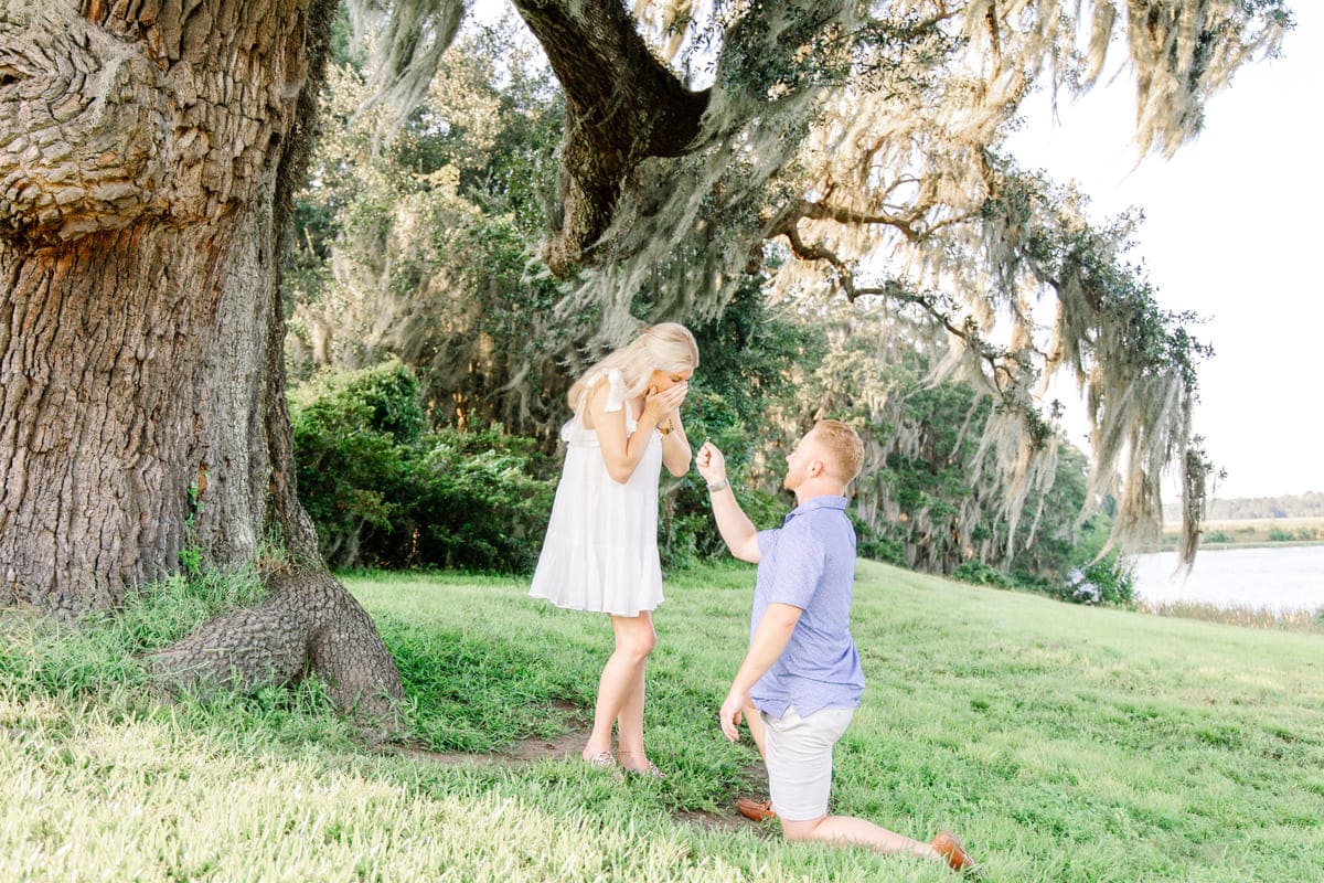 charleston proposal photography oak tree backdrop