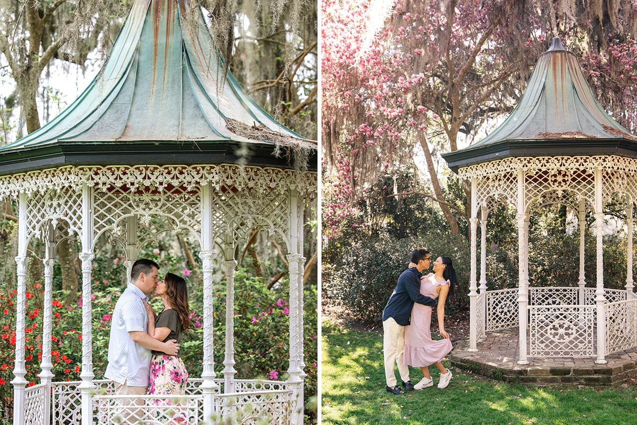 charleston professional photographers blooming flowers march