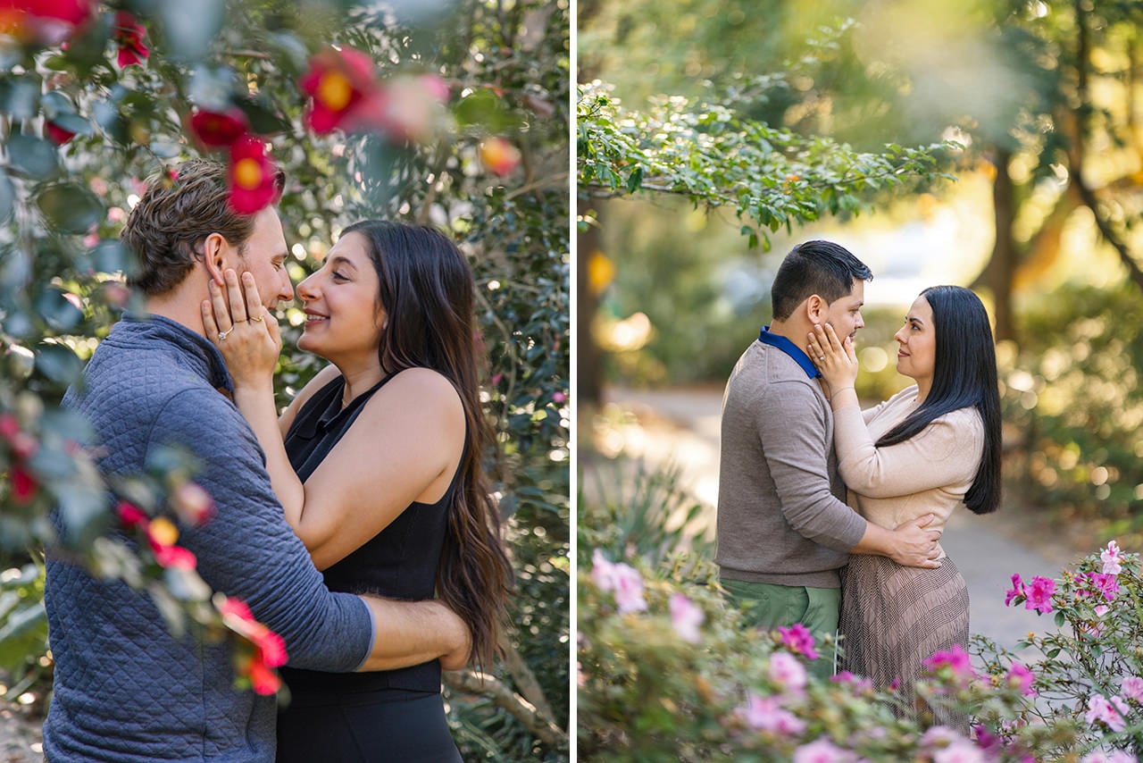 charleston professional photographers blooming flowers november