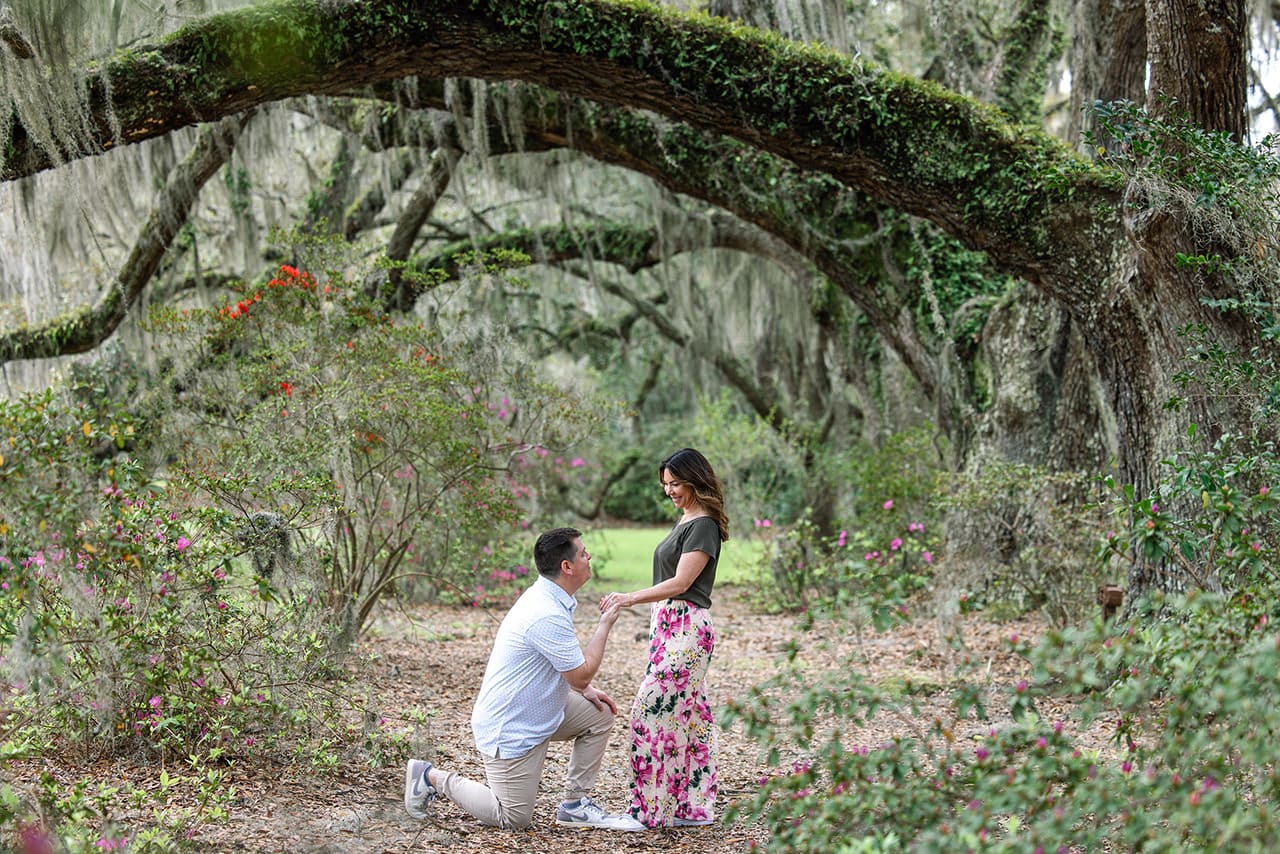 charleston anniversary photo session at Magnolia Plantation