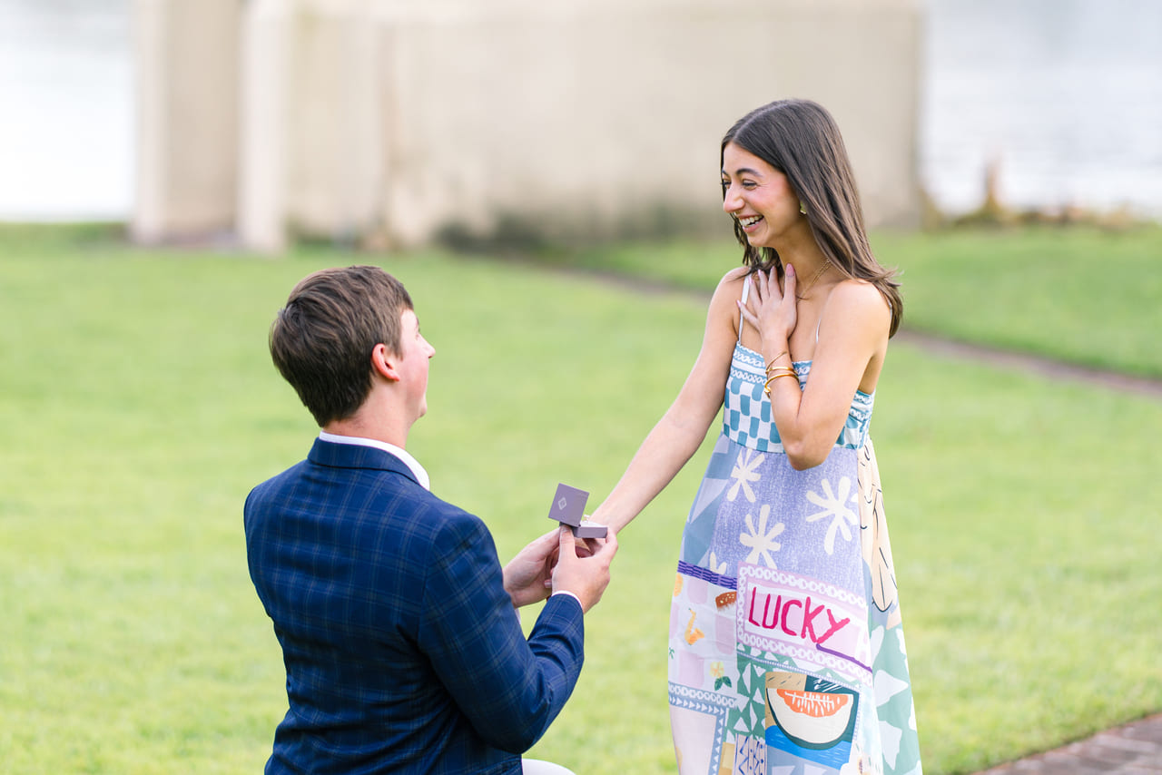 ion mount pleasant proposal photographer intimate proposal